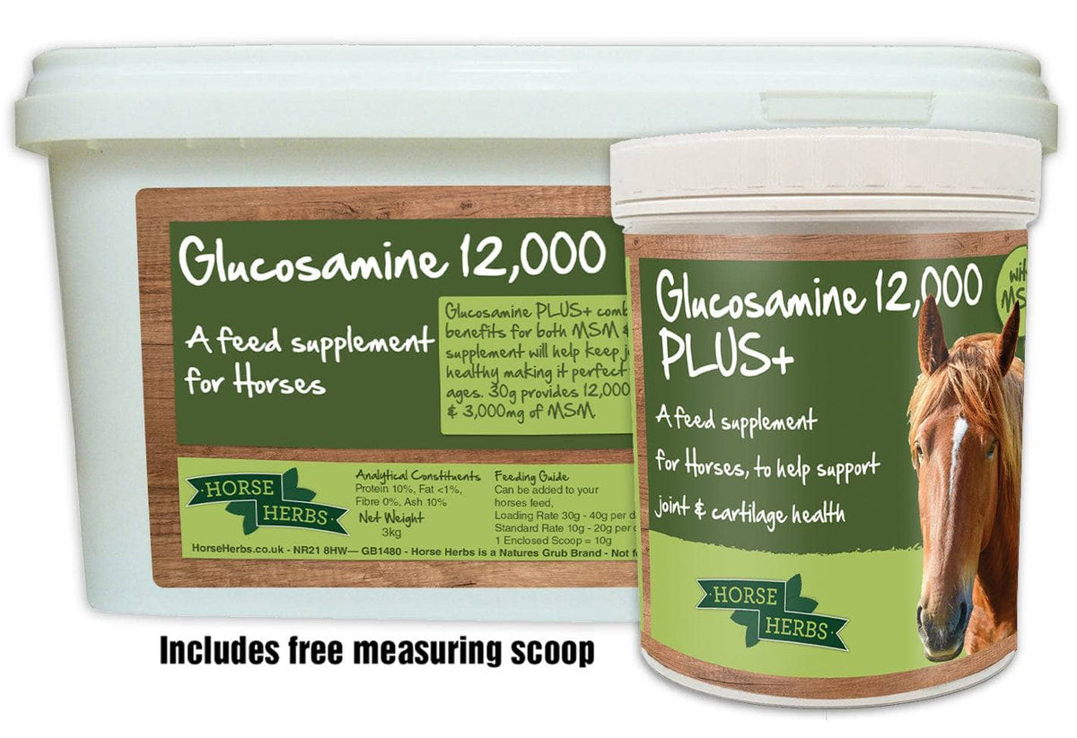 Glucosamine for Horses, Laminitis Preventative