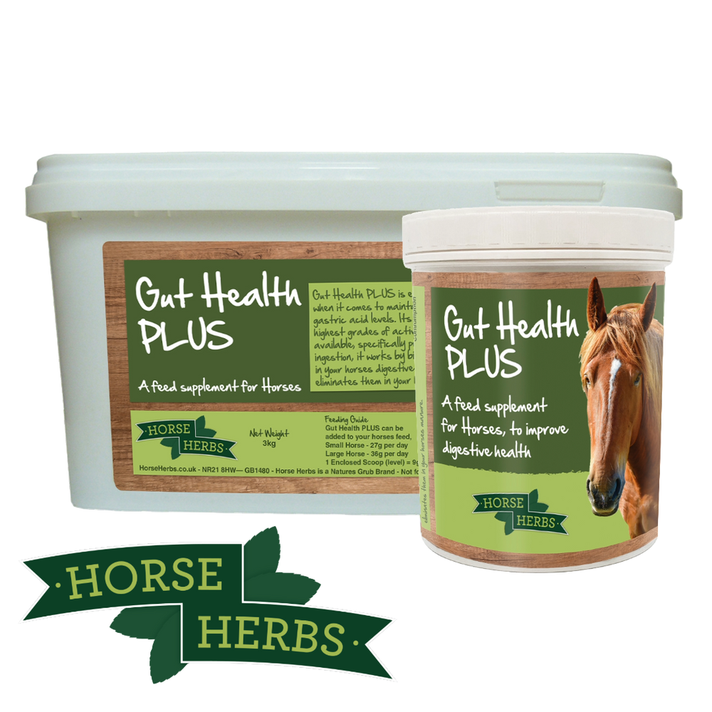 Gut Health PLUS