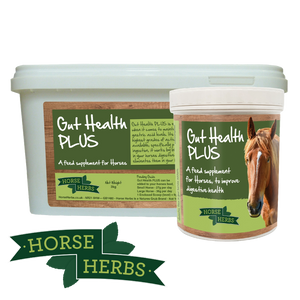 
                  
                    Gut Health PLUS
                  
                