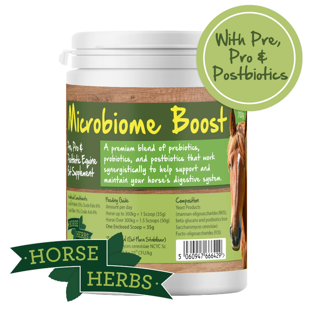 Microbiome Boost - Pre, Pro & Postbiotic Gut Health