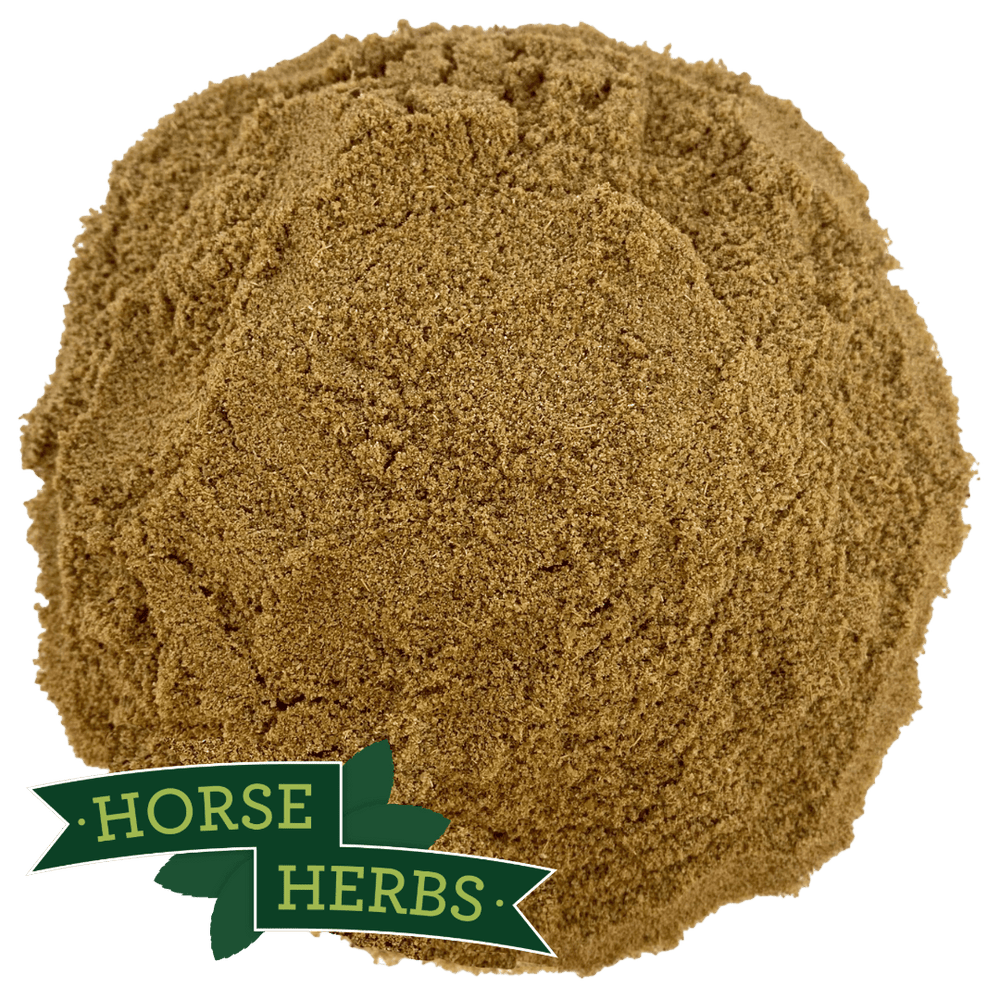 Horse Herbs Aniseed Powder