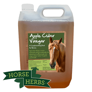 
                  
                    Horse Herbs Apple Cider Vinegar
                  
                