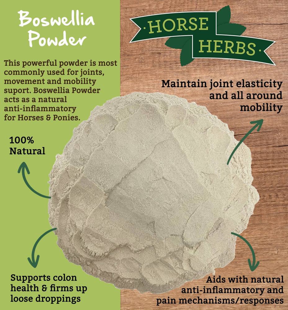 
                  
                    Horse Herbs Boswellia Powder
                  
                