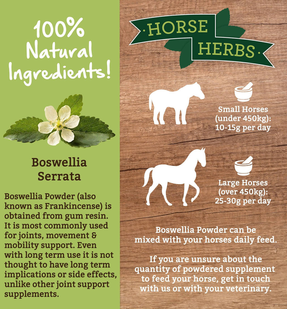 
                  
                    Horse Herbs Boswellia Powder
                  
                