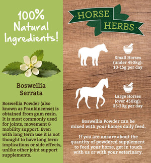 
                  
                    Horse Herbs Boswellia Powder
                  
                