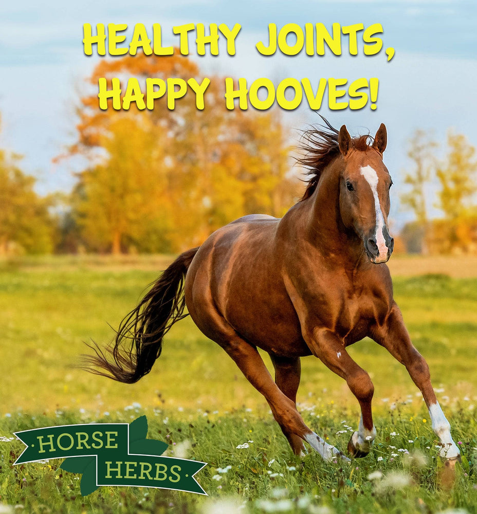 
                  
                    Horse Herbs Boswellia Powder
                  
                