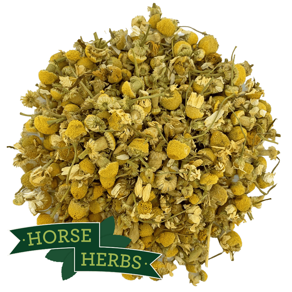 Horse Herbs Chamomile Flowers