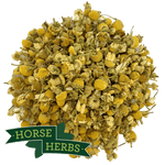 Horse Herbs Chamomile Flowers