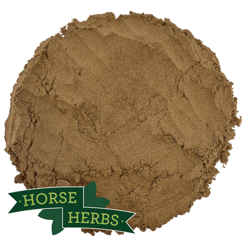 Horse Herbs Chaste Tree Berry Powder (Angnus Castus)