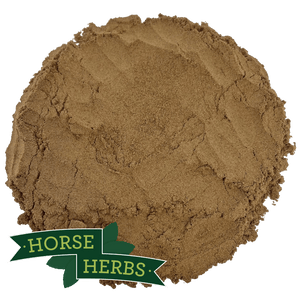 
                  
                    Horse Herbs Chaste Tree Berry Powder (Angnus Castus)
                  
                