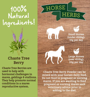 
                  
                    Horse Herbs Chaste Tree Berry Powder (Angnus Castus)
                  
                