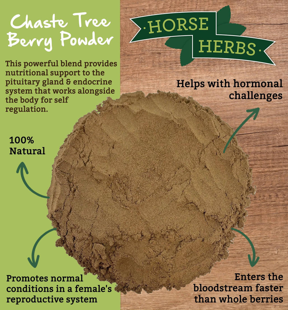 
                  
                    Horse Herbs Chaste Tree Berry Powder (Angnus Castus)
                  
                