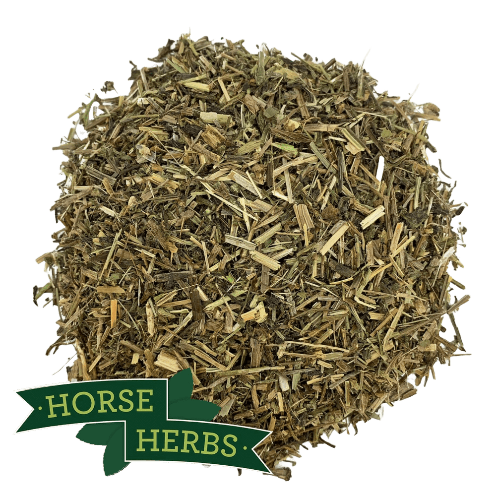 Horse Herbs Cleavers Herb