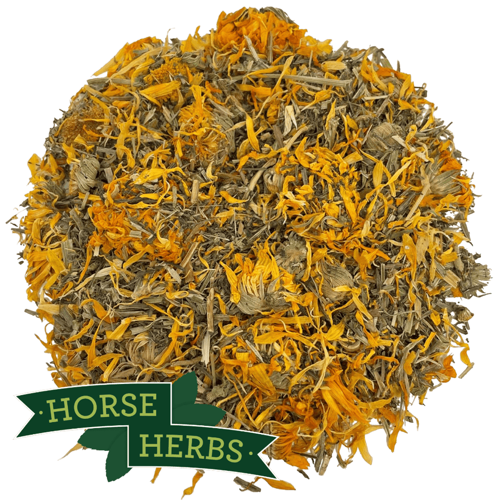 Horse Herbs Cleavers & Marigold