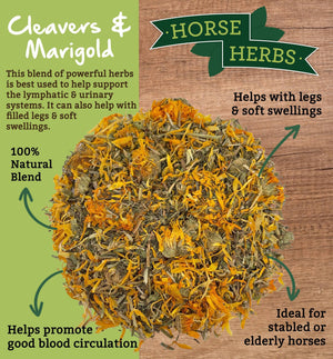 
                  
                    Horse Herbs Cleavers & Marigold
                  
                