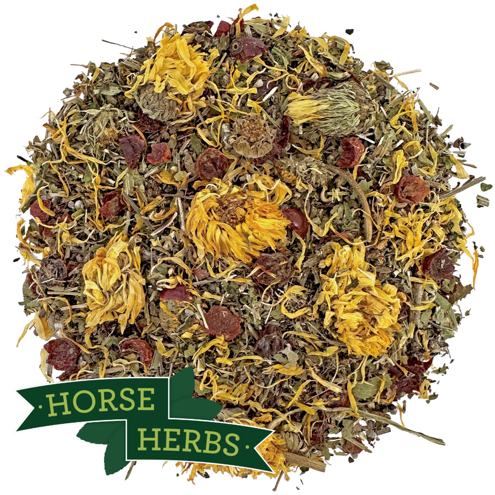 Horse Herbs Cush Support Plus