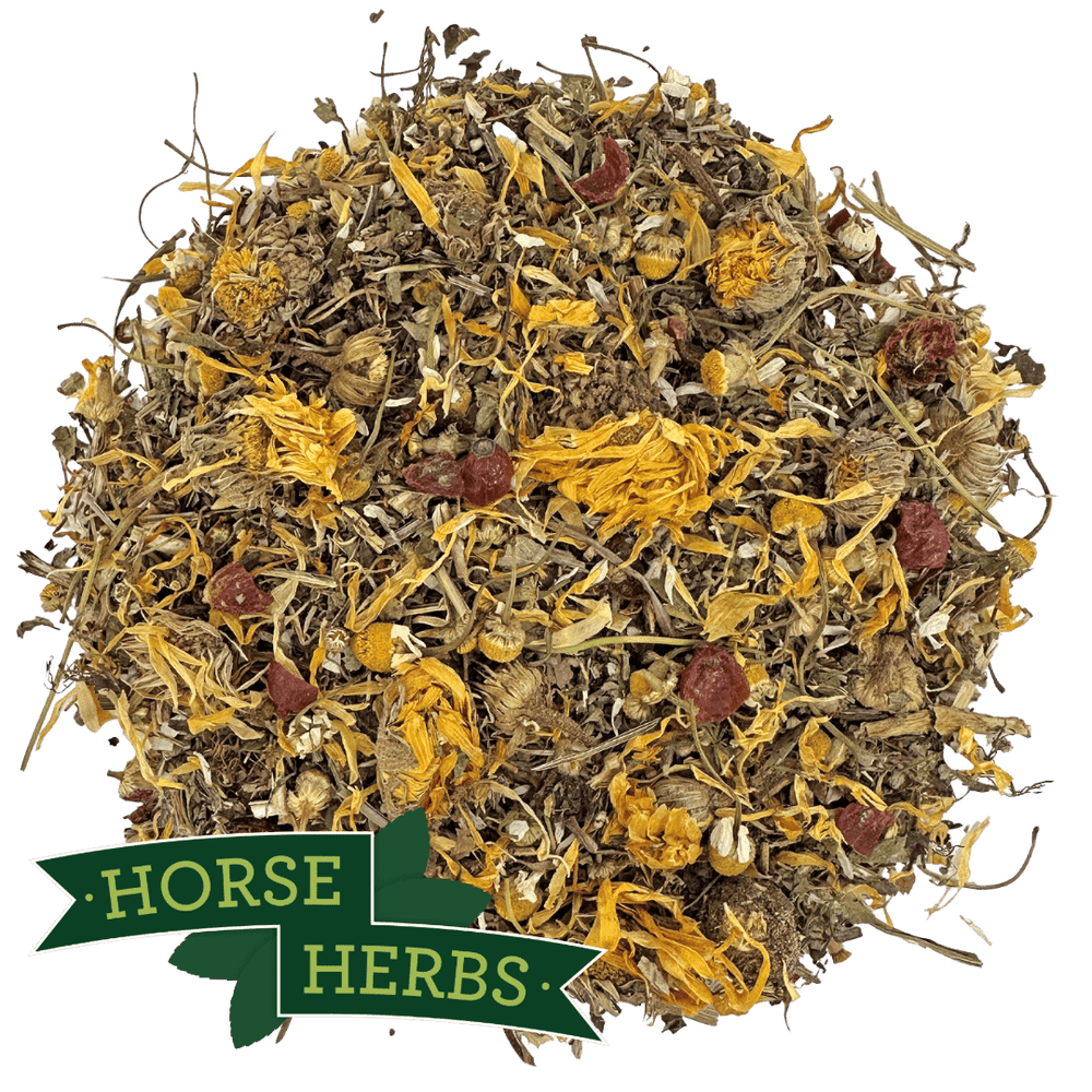 Horse Herbs Daily Herbal Support