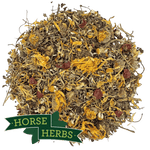 Horse Herbs Daily Herbal Support