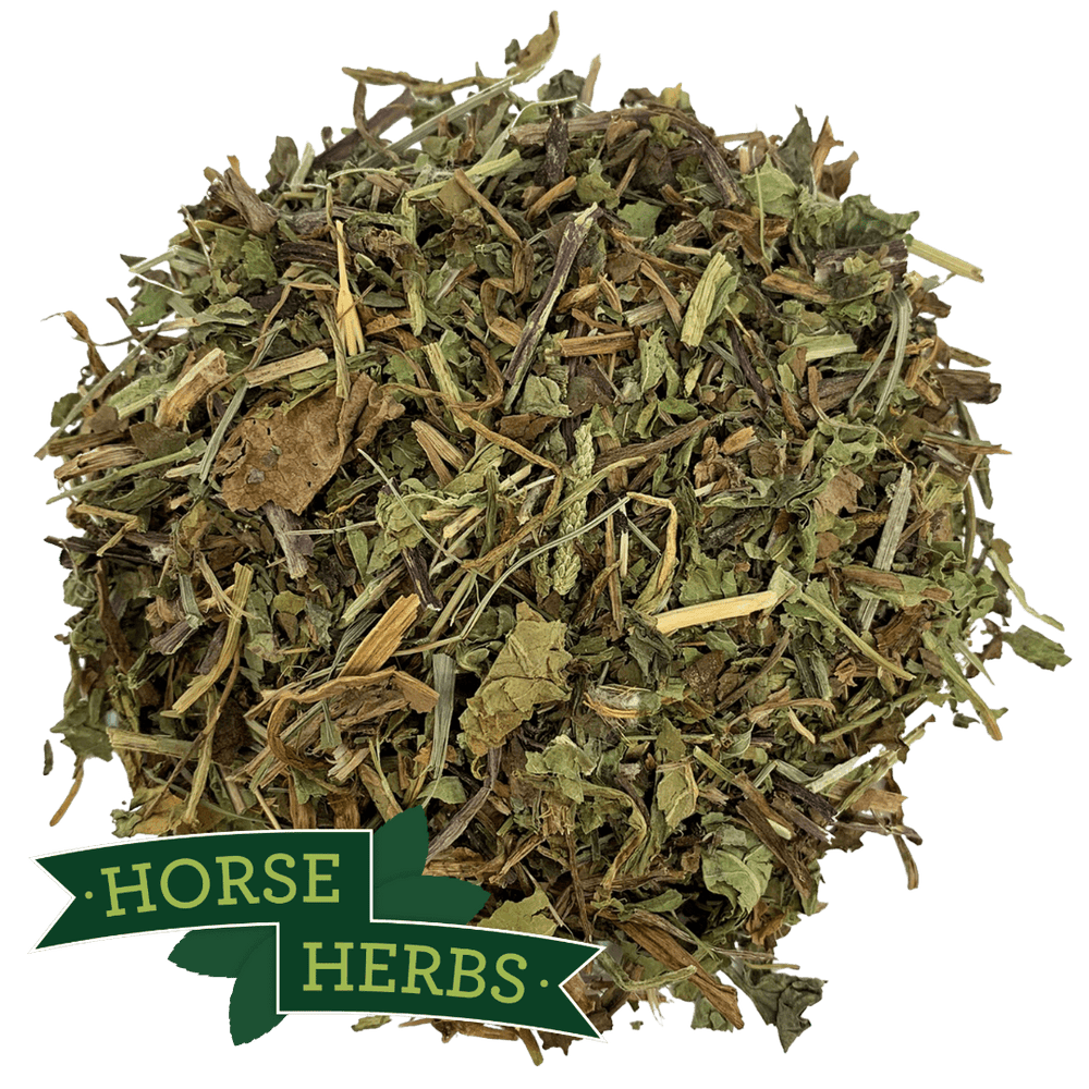 Horse Herbs Dandelion Leaf - Cut