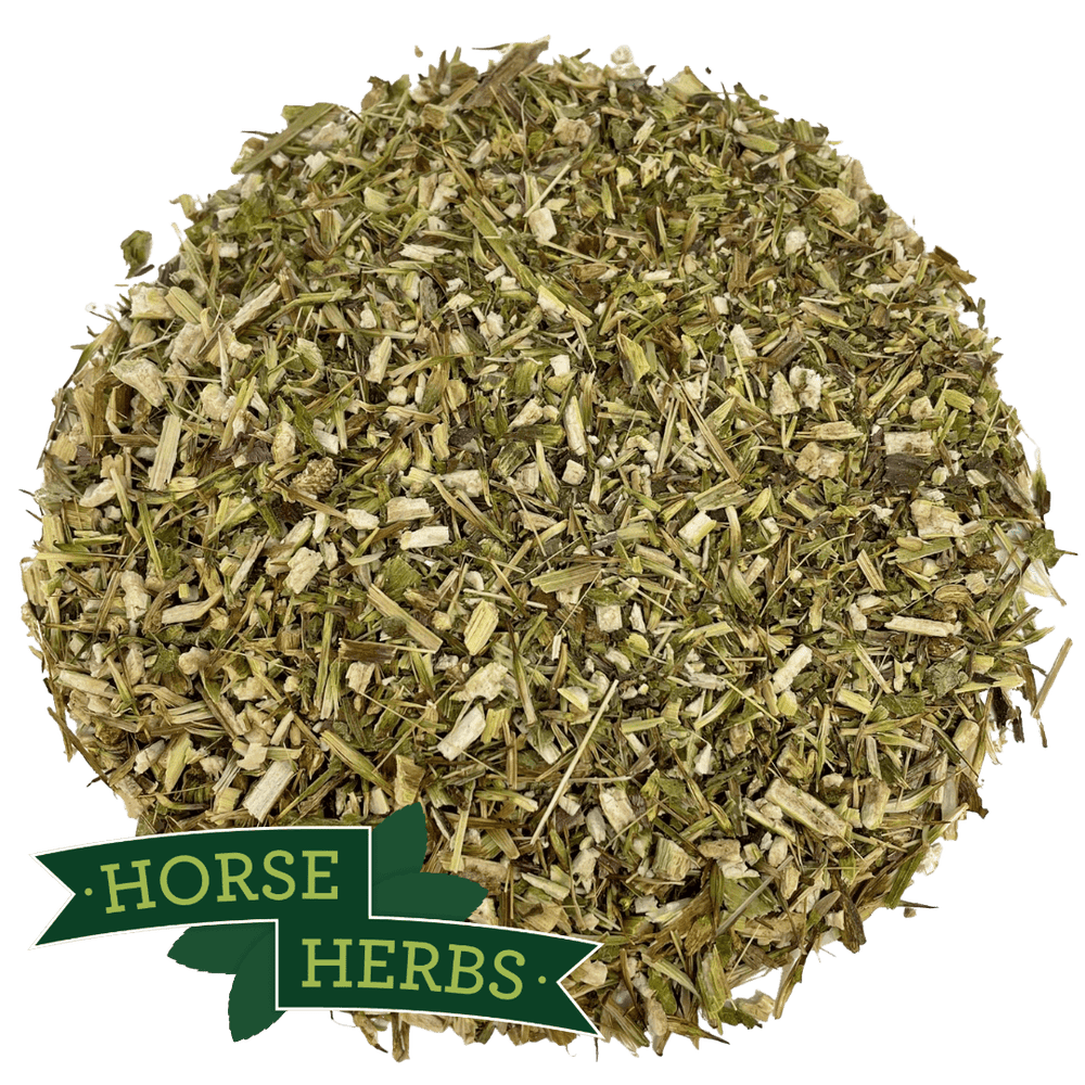 Horse Herbs Echinacea Herb Cut