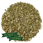 Horse Herbs Echinacea Herb Cut