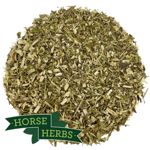 
                  
                    Horse Herbs Echinacea Herb Cut
                  
                