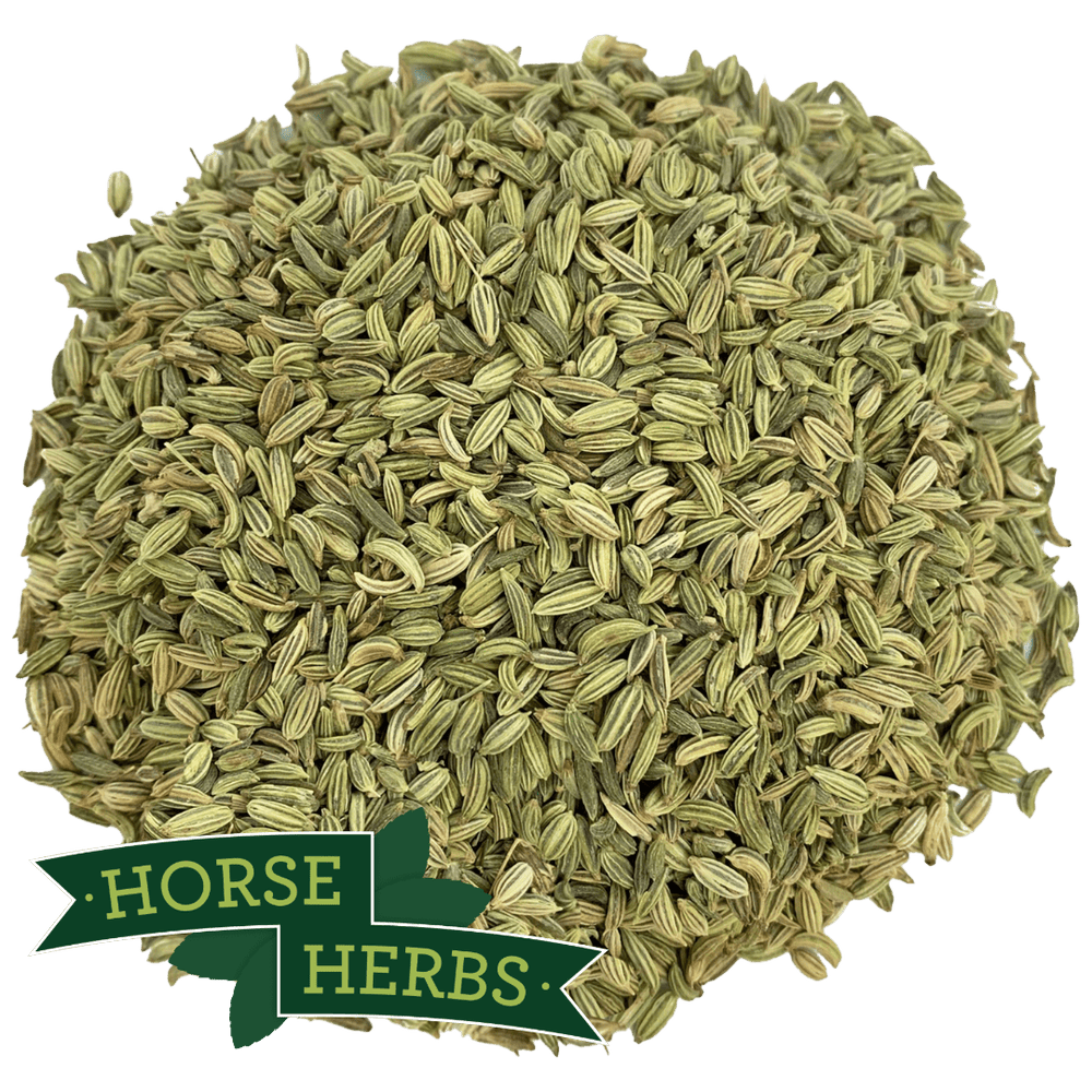 Horse Herbs Fennel Seeds