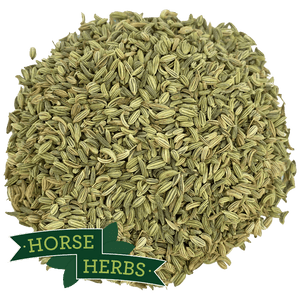 
                  
                    Horse Herbs Fennel Seeds
                  
                