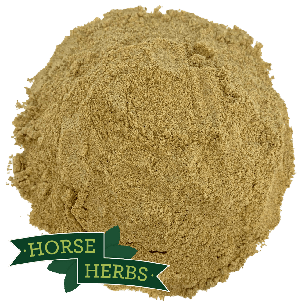 Horse Herbs Fenugreek Powder