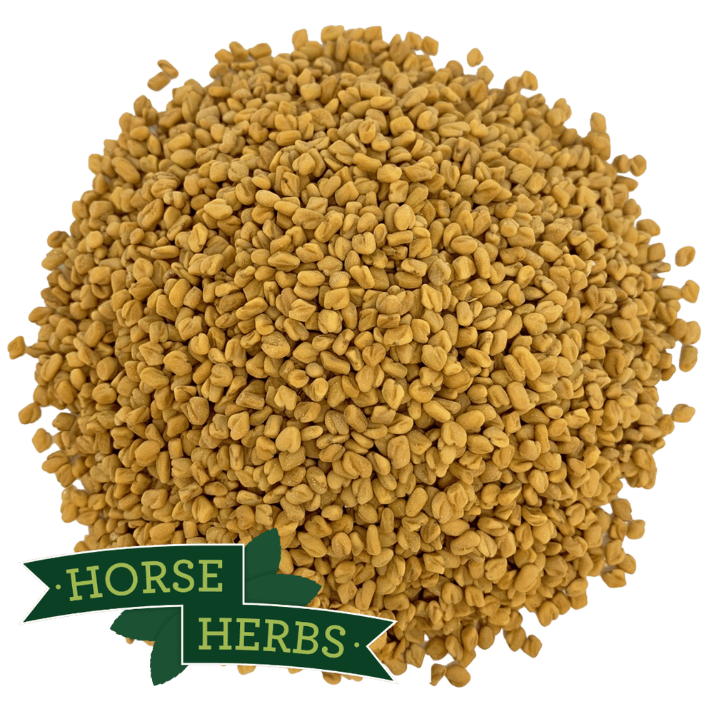 Horse Herbs Fenugreek Seeds