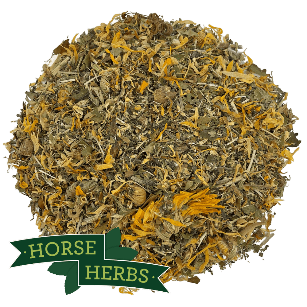 Horse Herbs Fill Support Plus