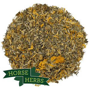 
                  
                    Horse Herbs Fill Support Plus
                  
                