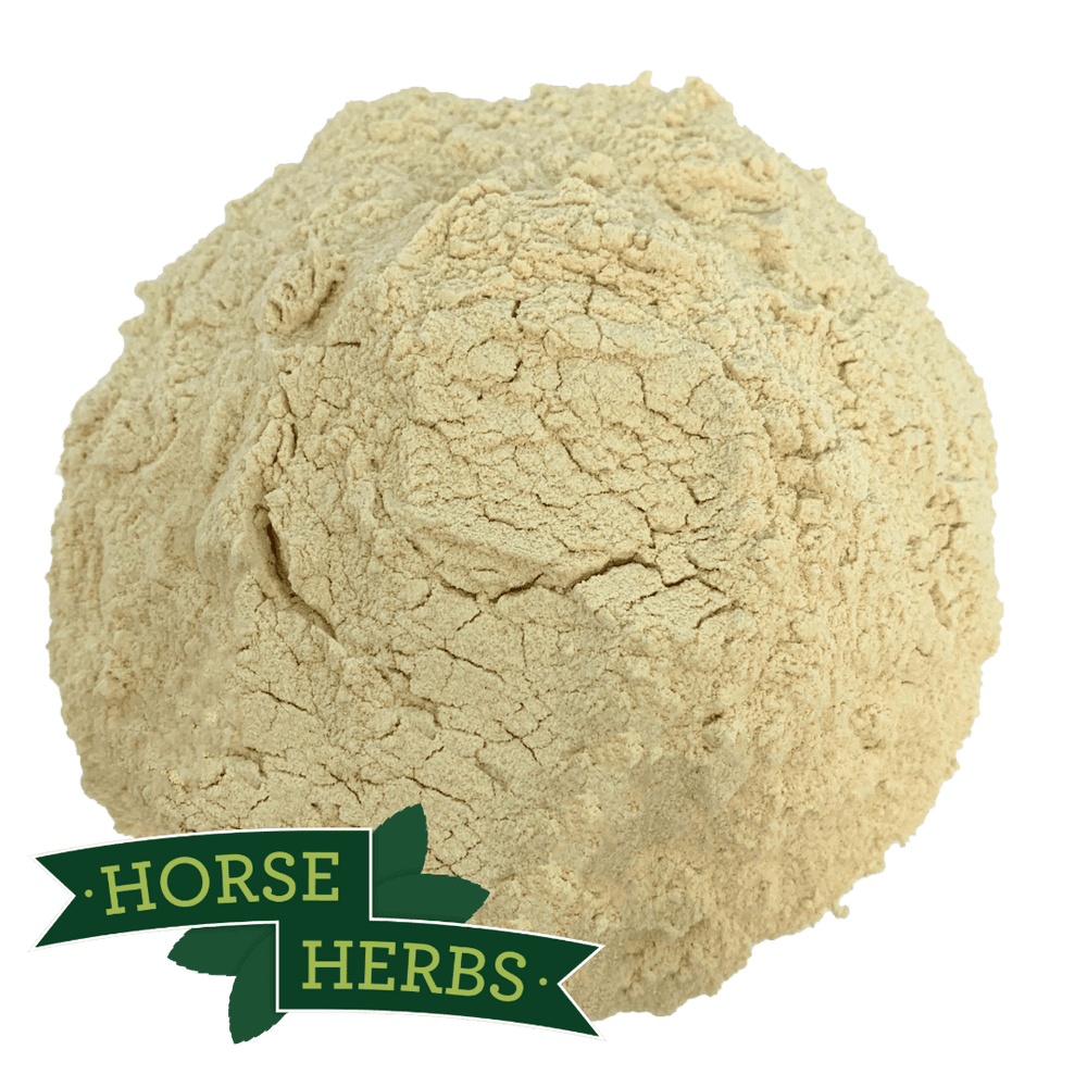 Horse Herbs Garlic Powder