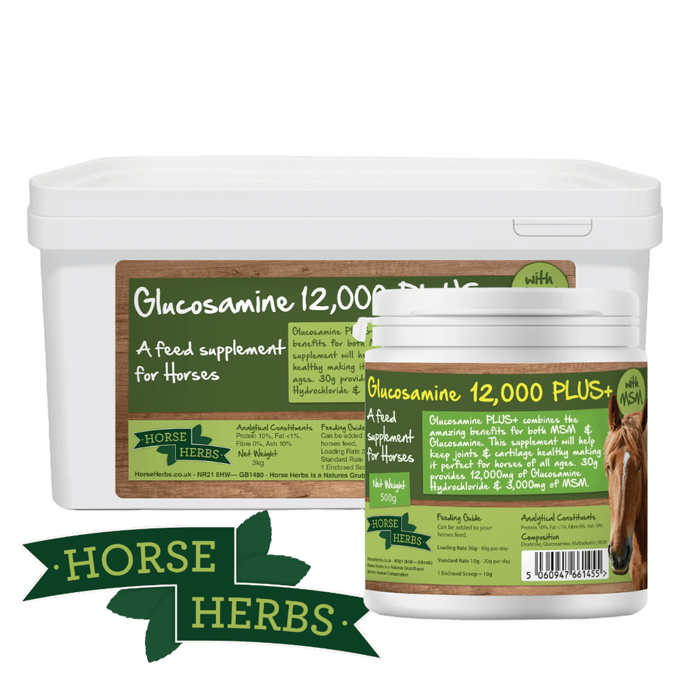 Horse Herbs Glucosamine 12,000 PLUS+