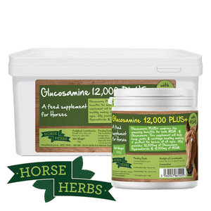 
                  
                    Horse Herbs Glucosamine 12,000 PLUS+
                  
                