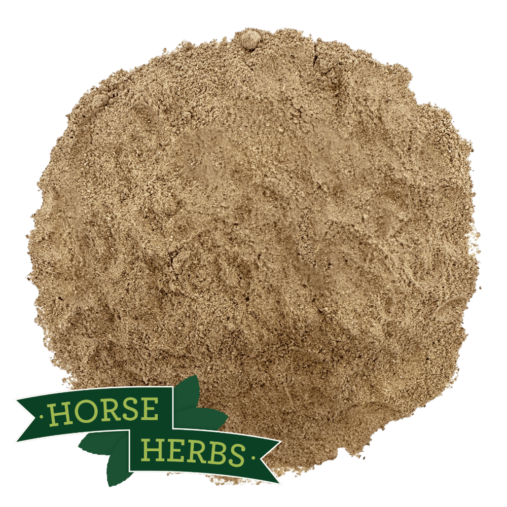 Horse Herbs Green Lipped Mussel Powder