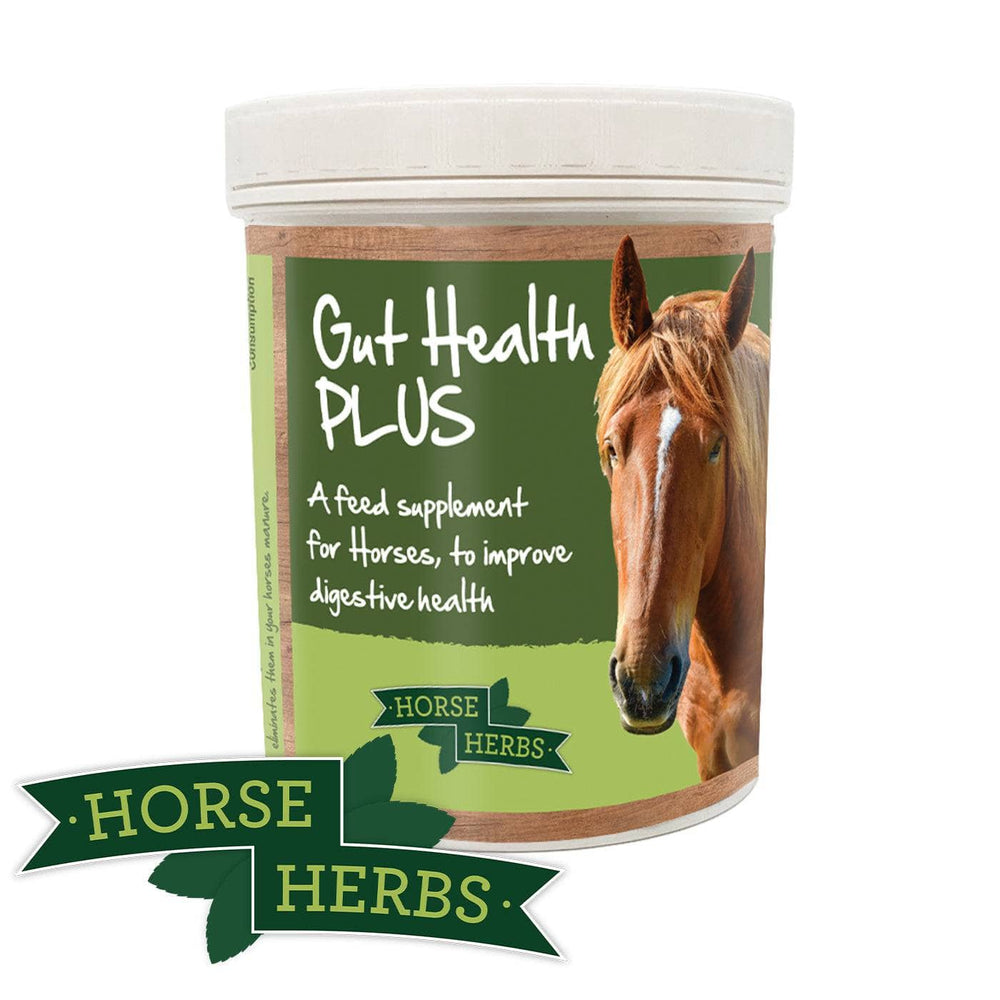 
                  
                    Horse Herbs Gut Health PLUS
                  
                