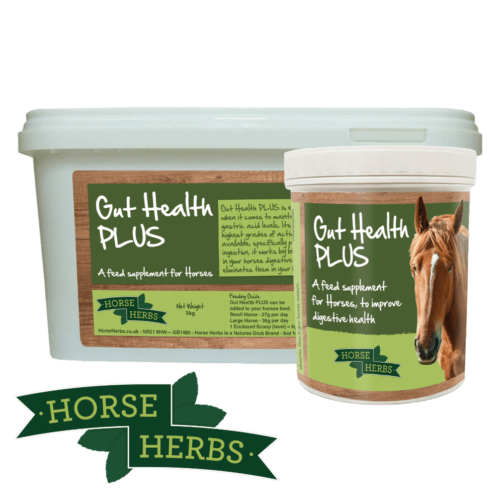 Horse Herbs Gut Health PLUS