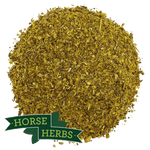 Horse Herbs Healthy Daily Boost