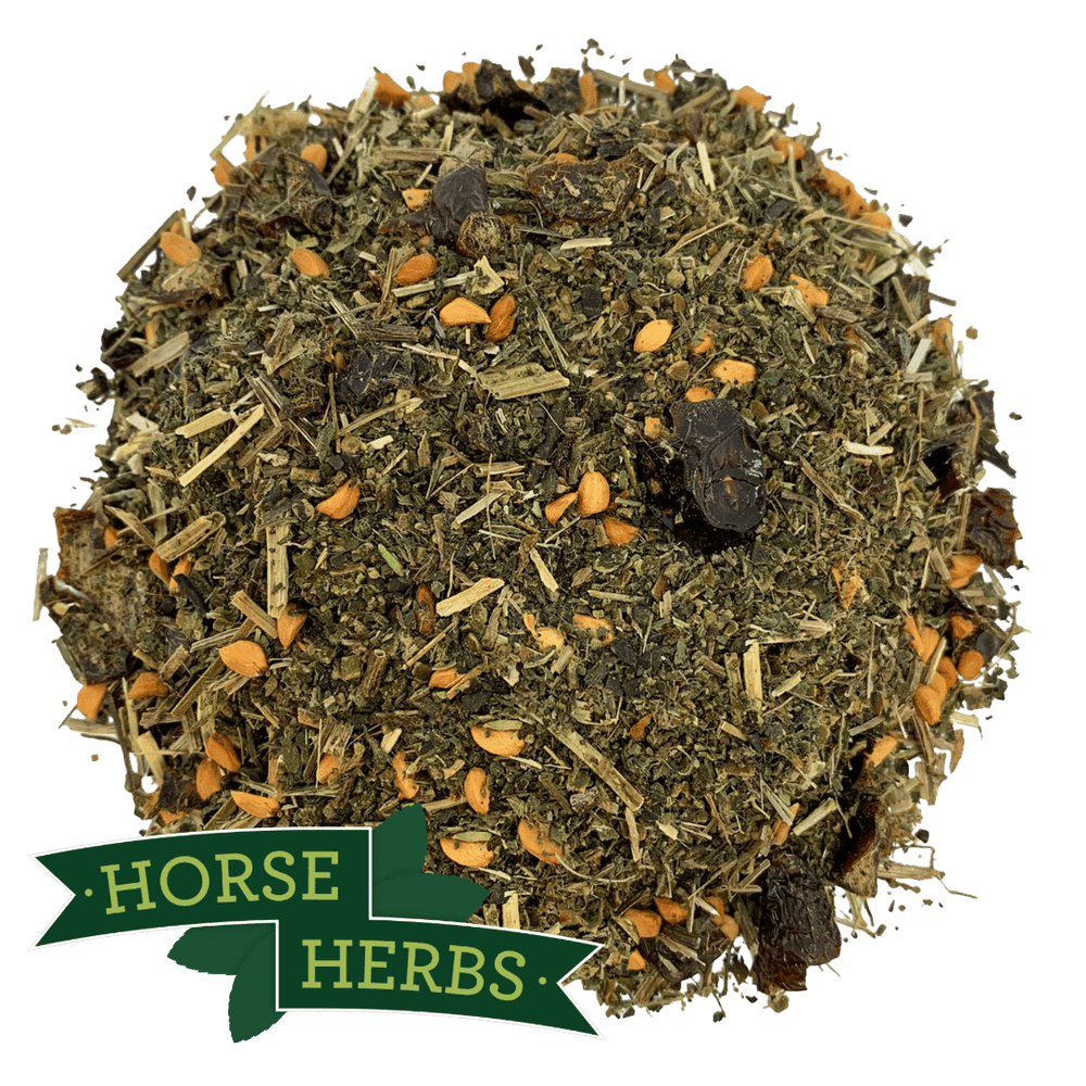 Horse Herbs Healthy Hoof