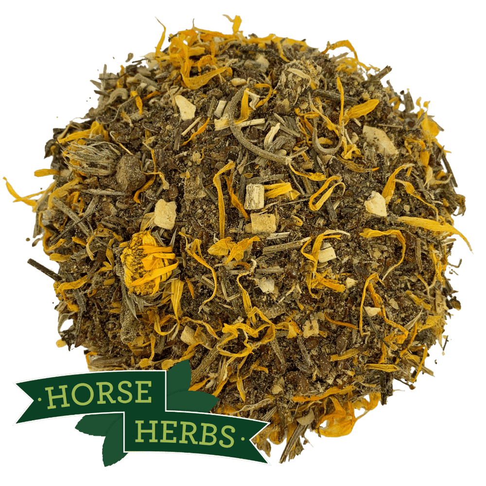 Horse Herbs Healthy Skin