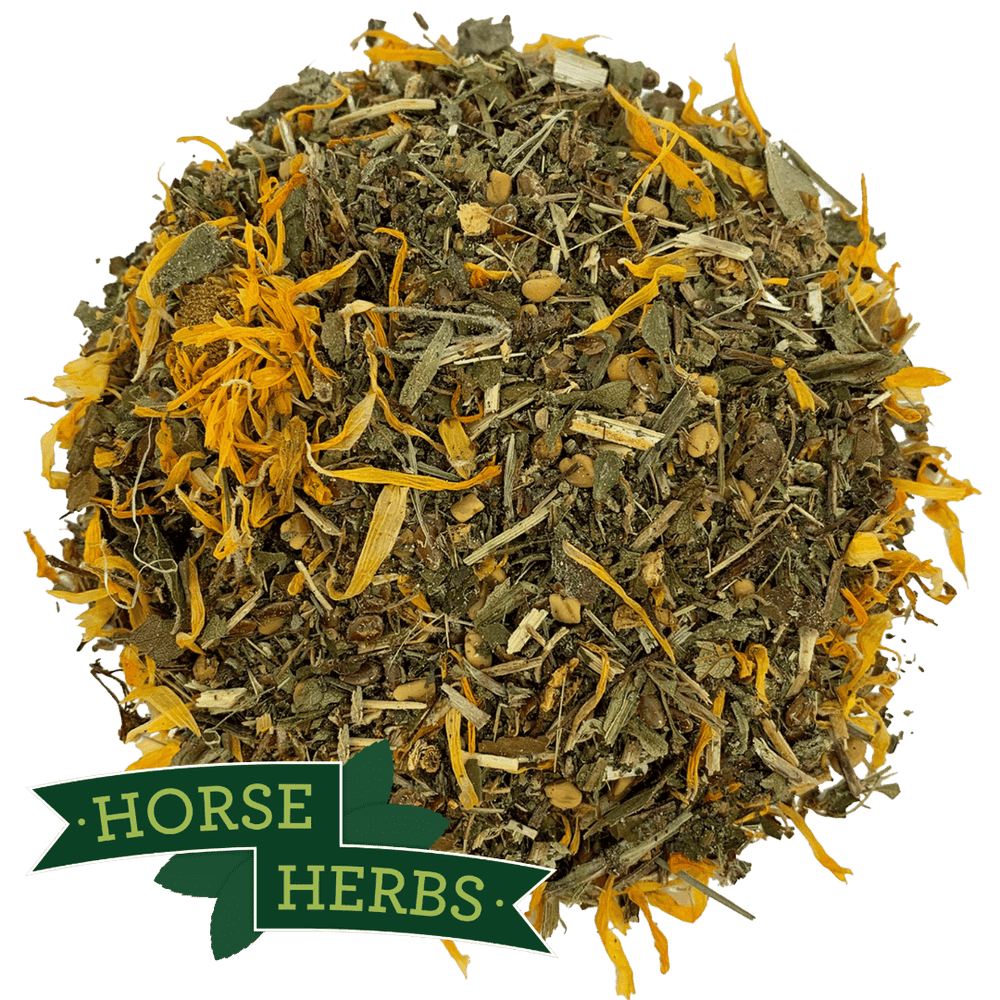 Horse Herbs Healthy Veteran