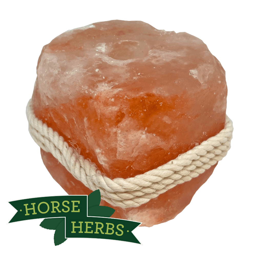 Horse Herbs Himalayan Salt Licks