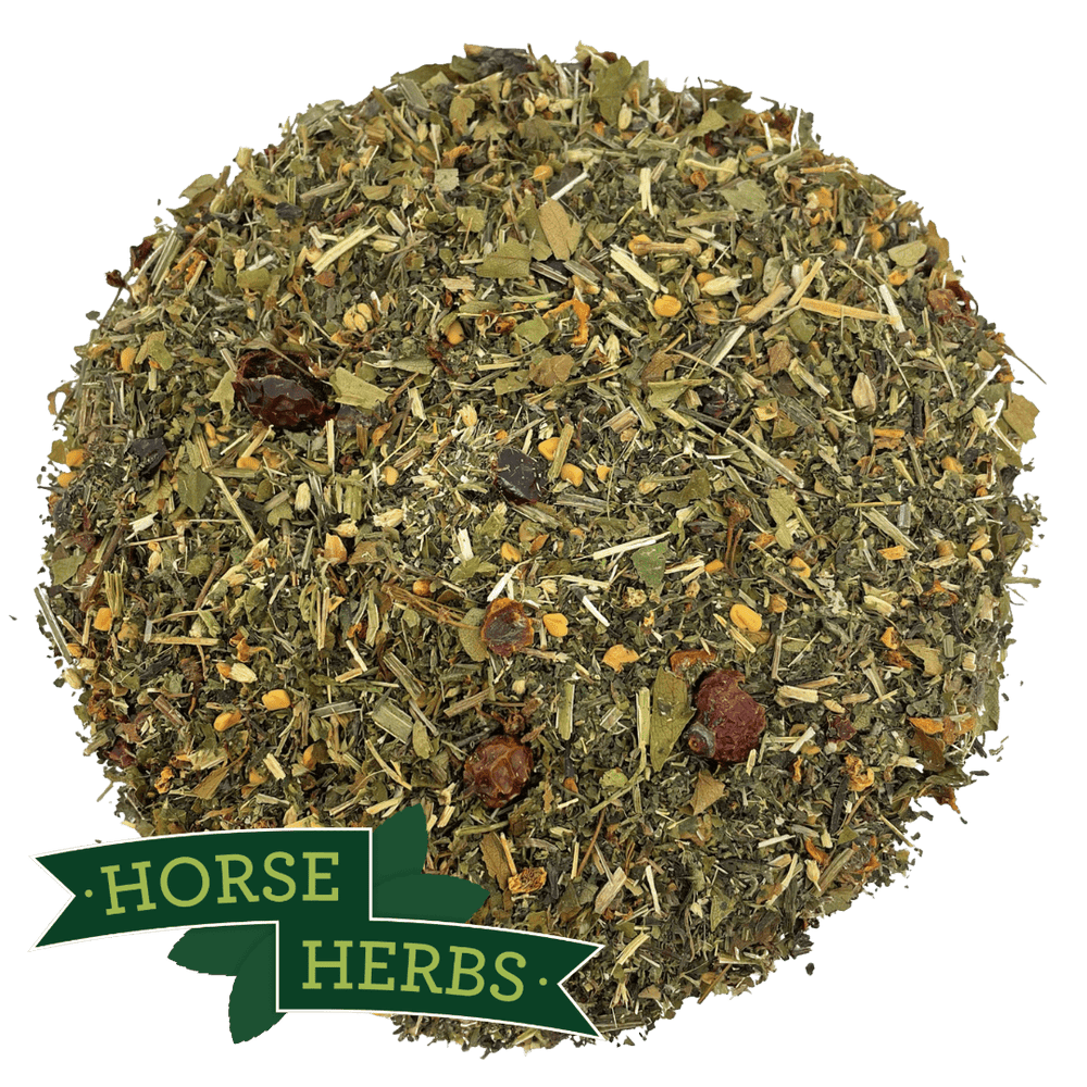 Horse Herbs Lami Support Plus