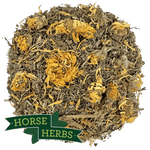 Horse Herbs Liver Support Plus