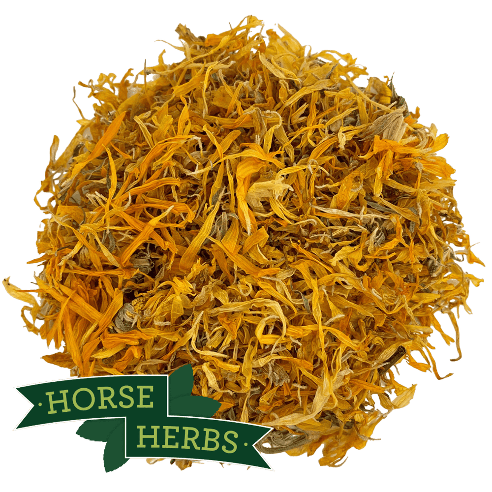 Horse Herbs Marigold Flowers