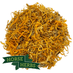 Horse Herbs Marigold Flowers