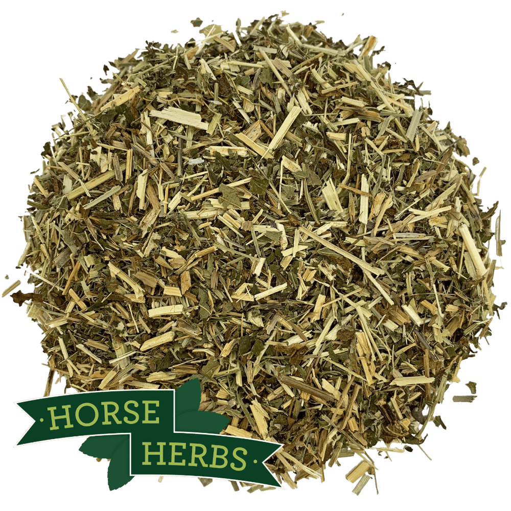 Horse Herbs Meadowsweet