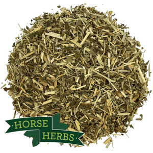 
                  
                    Horse Herbs Meadowsweet
                  
                