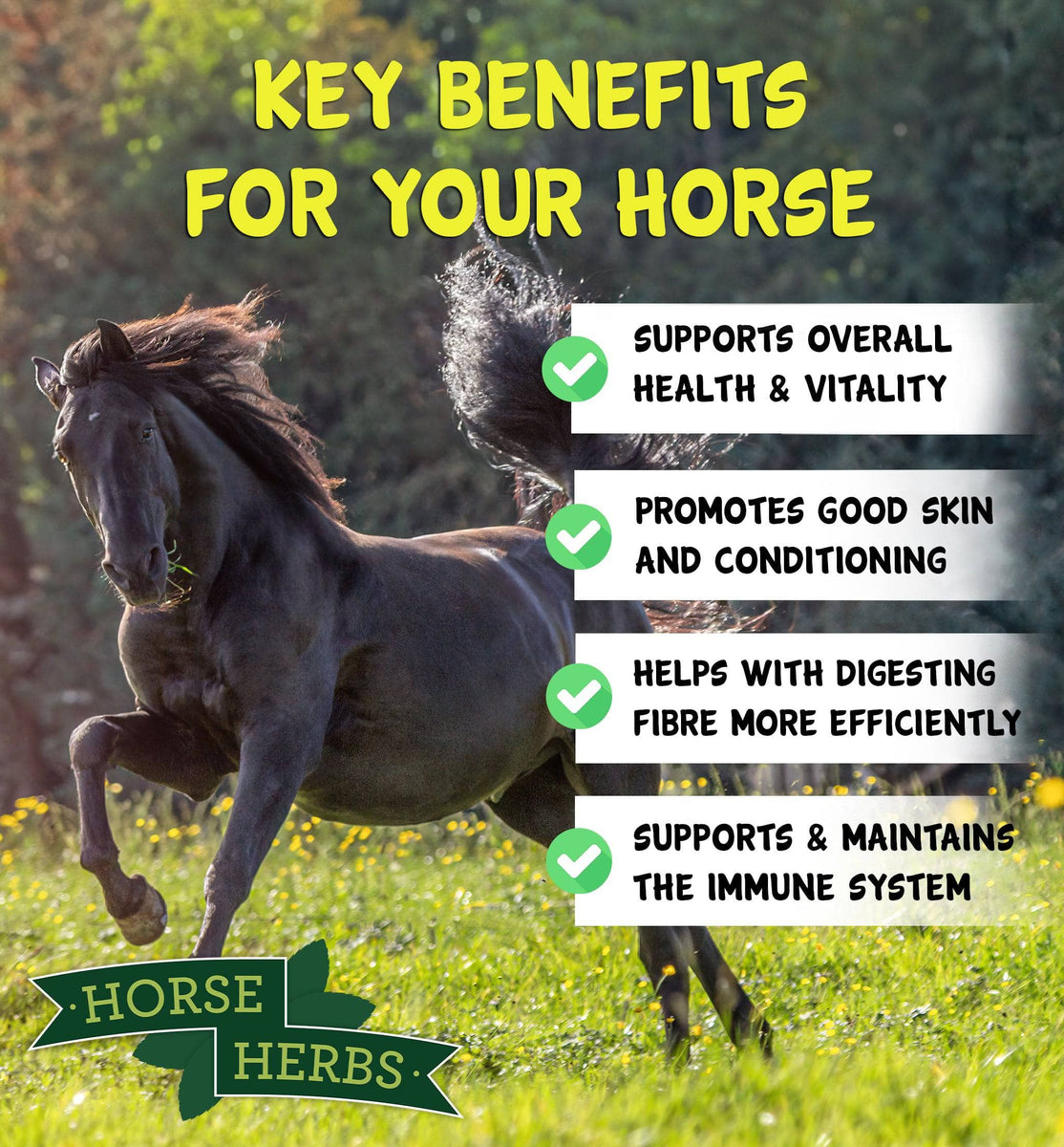 Microbiome Boost - Pre, Pro & Postbiotic Gut Health – Horse Herbs